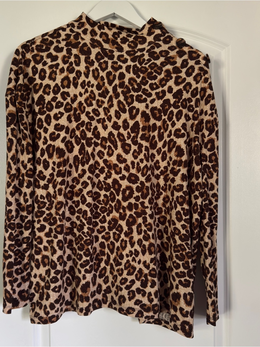 Eye Candy Leopard Print Mock Neck Top 1X